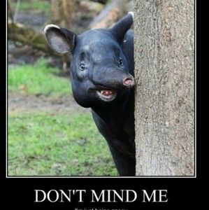 Private listing for Lex